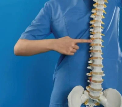 اندازہ لگانا بند کریں، دیکھنا شروع کریں: کیوں آپ کی Chiropractic پریکٹس کو Scoliosis کے لیے اسکری...
